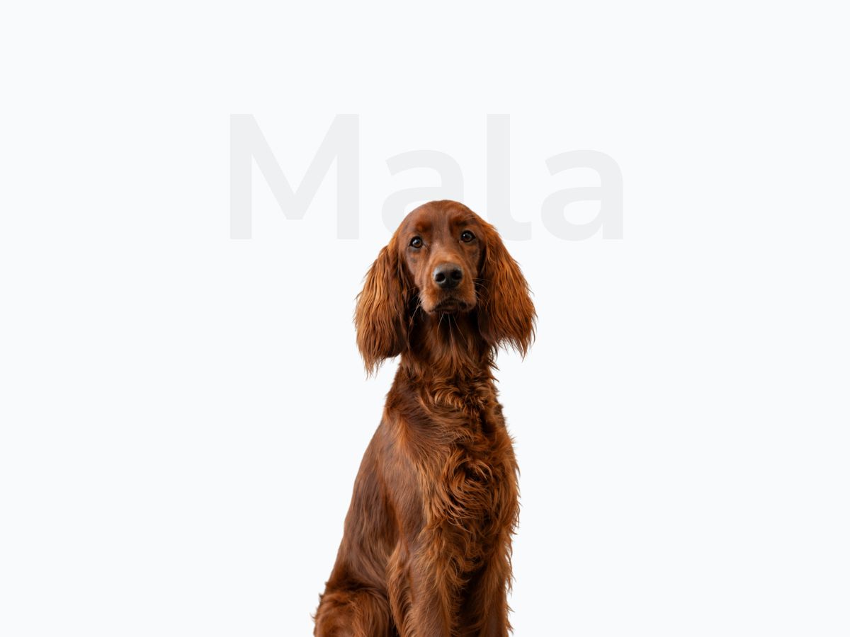 Mala